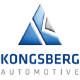 Kongsberg Automotive Consultants